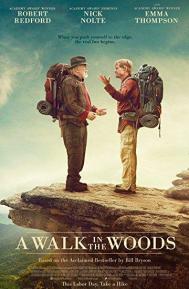 A Walk in the Woods poster