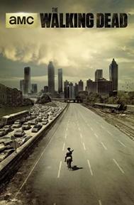 The Walking Dead Season 9 poster