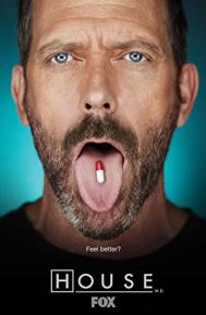 House Season 6 poster