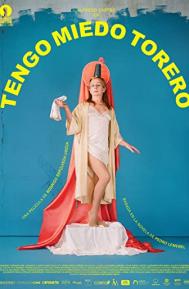 My Tender Matador poster