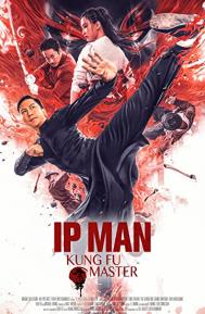 Ip Man: Kung Fu Master poster