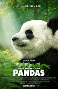 Pandas poster