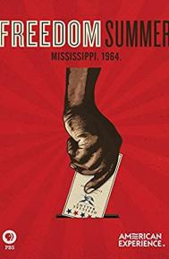 Freedom Summer poster