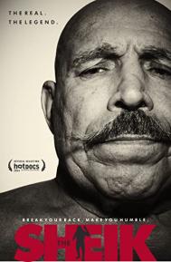 The Sheik poster