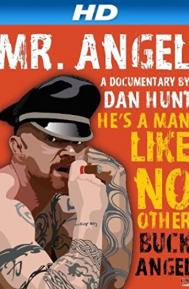 Mr. Angel poster