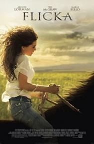 Flicka poster