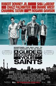 A Guide to Recognizing Your Saints poster