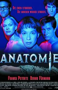 Anatomy poster