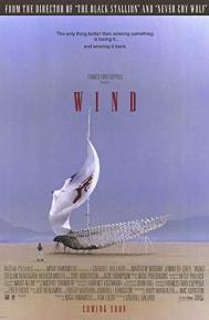 Wind poster