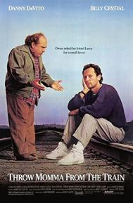 Throw Momma from the Train poster