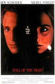 Still of the Night poster