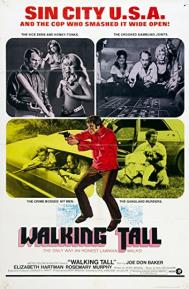 Walking Tall poster
