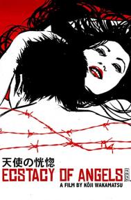 Ecstasy of the Angels poster
