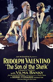 The Son of the Sheik poster