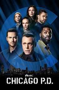 Chicago P.D. Season 9 poster