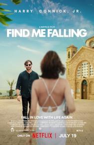 Find Me Falling poster