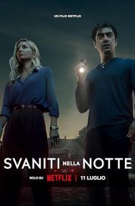 Vanished Into the Night poster