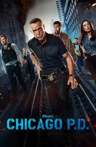 Chicago P.D. Season 12 poster