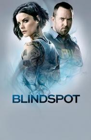 Blindspot Season 5 poster