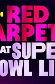 Super Bowl LIX poster