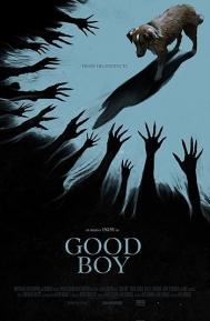 Good Boy poster