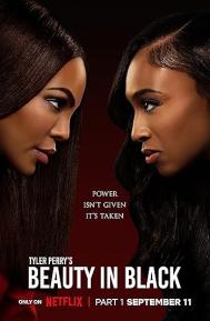 Beauty in Black Season 2 poster