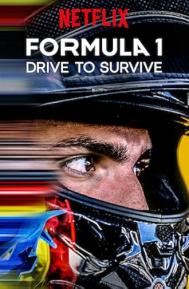 Formula 1: Drive to Survive Season 8 poster